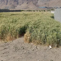 زمین کشاورزی ۱۰۰۰متری مناسب باغ و ویلا سازی.|فروش زمین و ملک کلنگی|پیر بکران, |دیوار