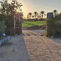 باغ شهری میاندشت 1000 متر  کشاورزی