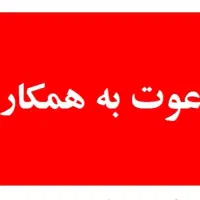 همکار آقا در سفره خانه