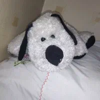 الیاف،عروسک،دستمال جیبی|اسباببازی|قم, علی آباد سعدگان|دیوار