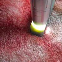 چهار عدد مهره یشم گبری همراه با سنگ یشم گبری|جواهرات|تهران, ولنجک|دیوار