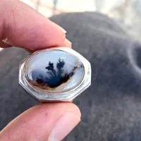 انگشتر شجر|جواهرات|تهران, جی|دیوار