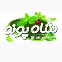 نیروی کار خانم در فروشگاه