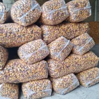 خرما و مشتقات آن|خوردنی و آشامیدنی|شیراز, فرهنگ شهر|دیوار