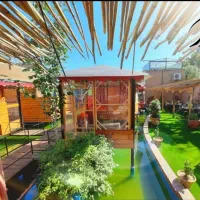 آشپز، فست‌فود کار، سالن کار