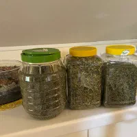 سبزی خشک ریحون