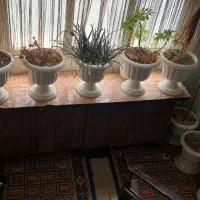 گلدان پایه دار ۱۲ یا۱۳ عدد همه به رنگ سفید سالم