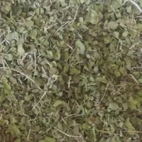 اویشن تازه کوهی
