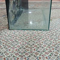 فروش اکواریوم