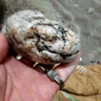 سنگ راف شجر کلکسیونی و سنگ به صورت مار|کلکسیون اشیاء عتیقه|پرند, فاز ۶|دیوار