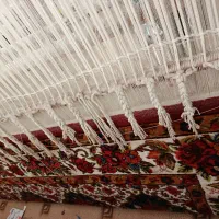 قالی 800تایی|فرش|شهرکرد, |دیوار