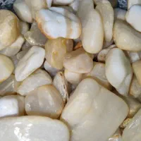 سنگ آکواریم مرمر|ماهی|شیراز, عادل آباد|دیوار