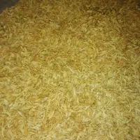 بهار نارنج تازه خونگی