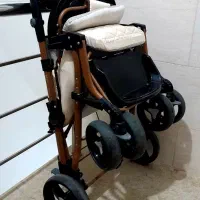 کالسکه دلیجان نو