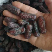 خرما پیارم خرما رطب عسلی رمضان افطار شیره