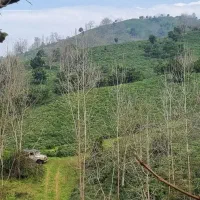 خانه ای قدیمی شمالی