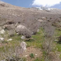 گردشگری  استان چهارمحال بختیاری