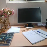 تعدادی خانم