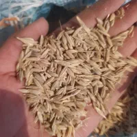 جو یونجه