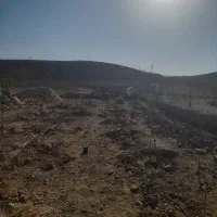 زمین واقع در کهک روستای میم