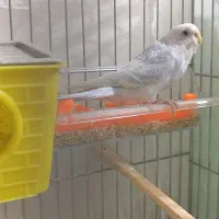 شهرک شهید سلطانی