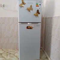 یخچال فریزر الکترواستیل