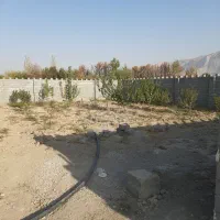 باغ-و-چهاردیواری