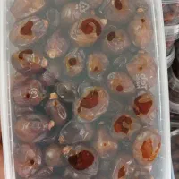 خرما خاصویی تازه شیراز