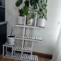 کمد ویترین داربا چهارکوشیوی سالم