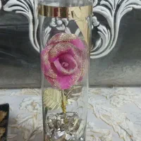 تعدادی ظروف|ظروف سرو و پذیرایی|نیشابور, بزرگمهر|دیوار