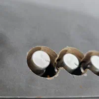 اسپیکر دستساز|سیستم صوتی خانگی|کرمانشاه, |دیوار