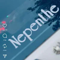 ۲۰۶خاص در خاص