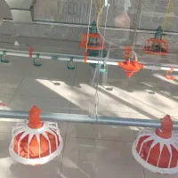 آبخوری اتوماتیک جام نو