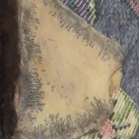 سنگ شجر