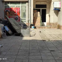 ۱۵ تا کفتر سالم و قلدور