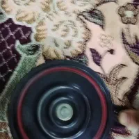 بوق موتور
