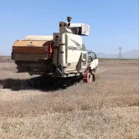 کمباین زنجیری برنج