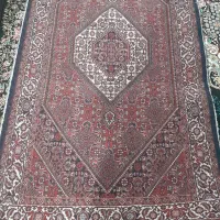 قالی چه دست بافت|فرش|زنجان, |دیوار