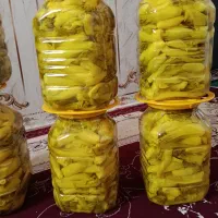 ترشی بیلهر