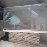 آکواریوم فروشی