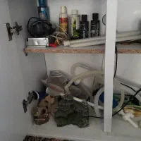 اکواریوم  و ماهی|ماهی|قم, نیروگاه|دیوار