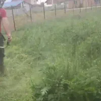 علفتراشی و حرس علفهای حرض باغ و مزارع|خدمات باغبانی و درختکاری|لنگرود, |دیوار