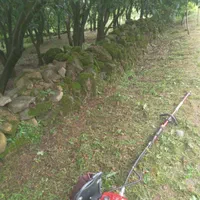 علف تراشی و سم پاشی باغ بادستگاه علف تراش وسم پاش|خدمات باغبانی و درختکاری|کلاچای, |دیوار