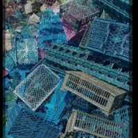 خرید سبد میوه پلاستیک وپت|خدمات پیشه و مهارت|هریس, |دیوار