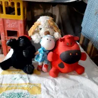 انواع وسایل بچه مثل روروک...کیسه خواب واسباب بازی|اسباب و اثاث بچه|سبزوار, سیادتی|دیوار