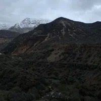 فروش زمین متراژ بالا عالیشهر مفت