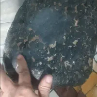 سنگ پازهر باستانی با نقره هم معاوضه میکنم نقره خوب