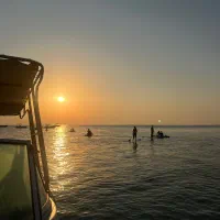 اجاره پدل بورد