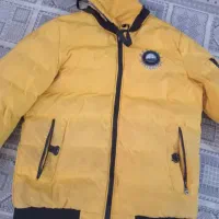 کاپشن وپالتو