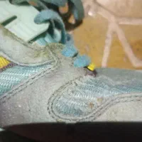 کتونی zx سفارش|کیف، کفش، کمربند|قرچک, میرزائی جنوبی|دیوار